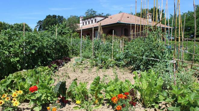 Orti Urbani "La paduletta"