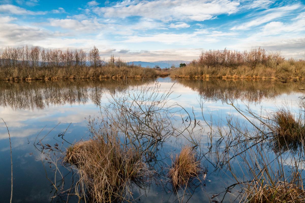 Riserva naturale Lago di Sibolla